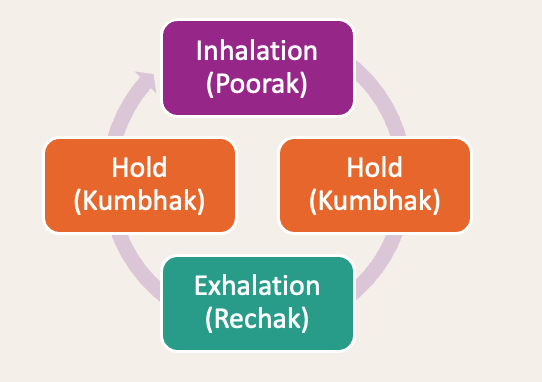 Complete breath cycle showing Poorak inhalation, Kumbhak breath hold, Rechak exhalation, and Kumbhak breath hold before the cycle repeats